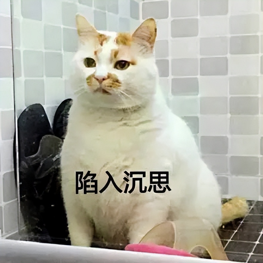 小学生如初升的太阳，充满朝气与希望，他们的眼中闪烁着对知识的渴望和对未来的美好憧憬。