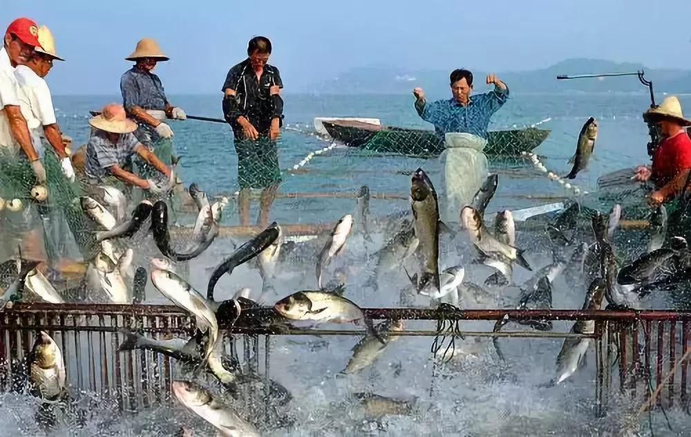 漁業水質標準,漁業水質標準參數表