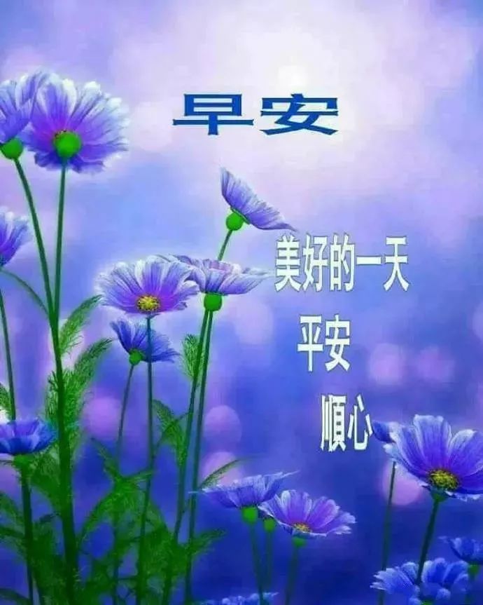 2022朋友圈温馨早上好问候暖心语录 最新版漂亮鲜花早上好动态美图图片