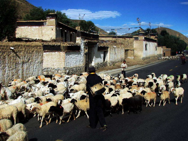 1984年西藏牧民为找牛，误入庞大古城，被满地骷髅吓得转身就跑