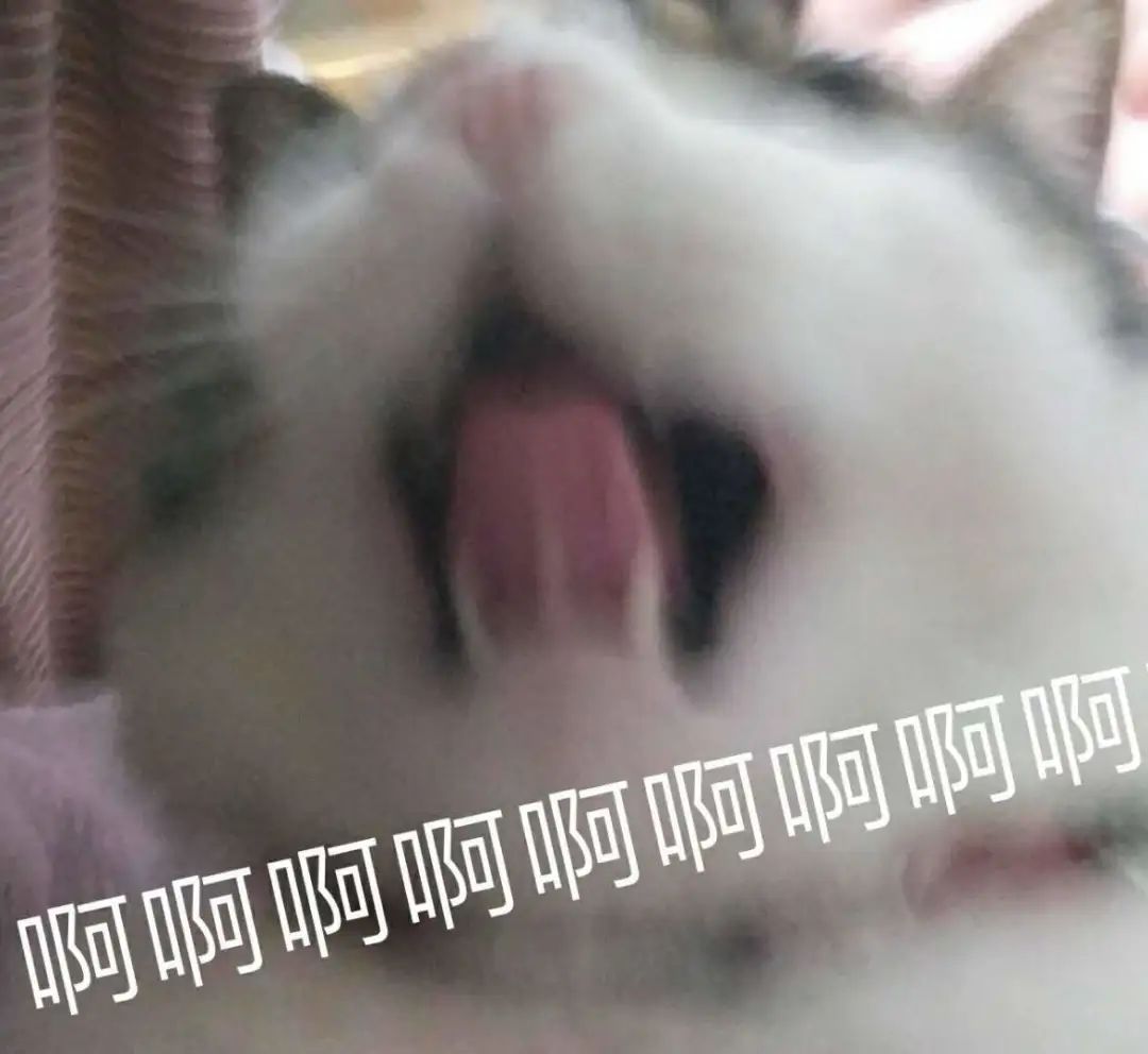 京东：是兄弟就来美国996！员工：你没事吧...