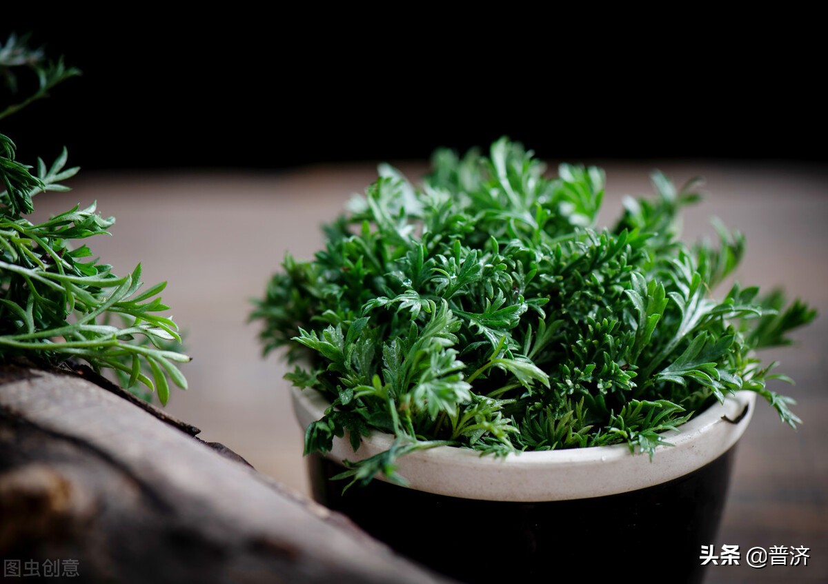 白蒿是茵陈吗（这个野菜是有着不同的叫法）