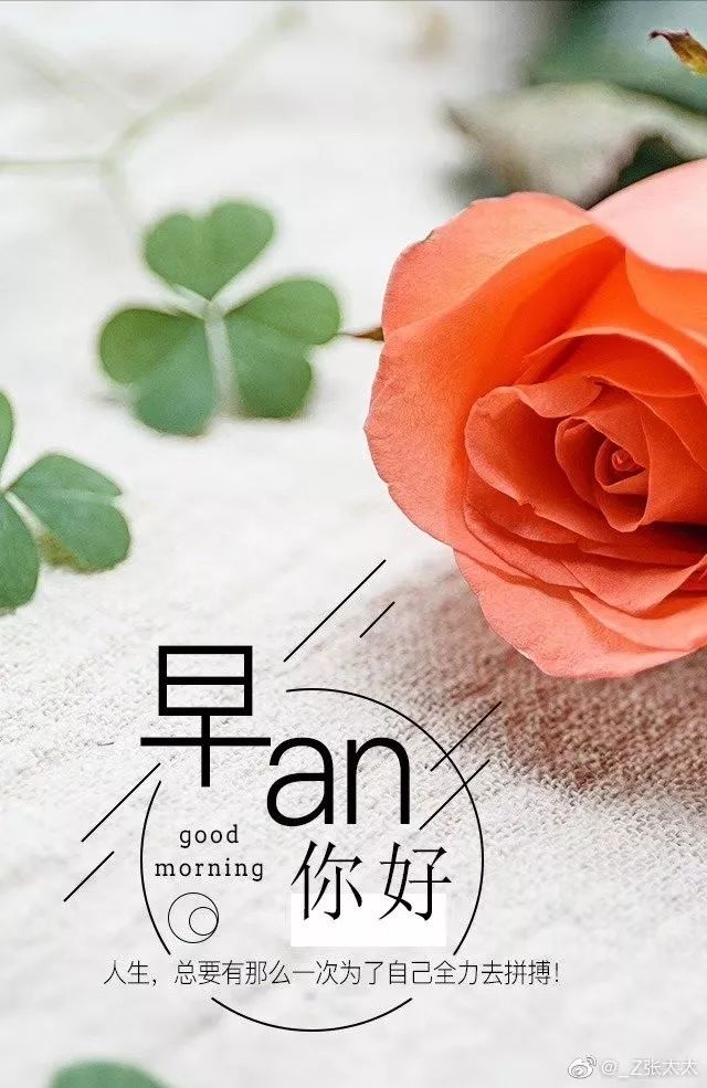 新版早上好微信祝福语录大全 一句问候，幸福安康图片