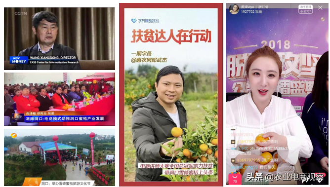 如何从0至1打造县域农产品区域公用品牌——记湖南洞口县案例