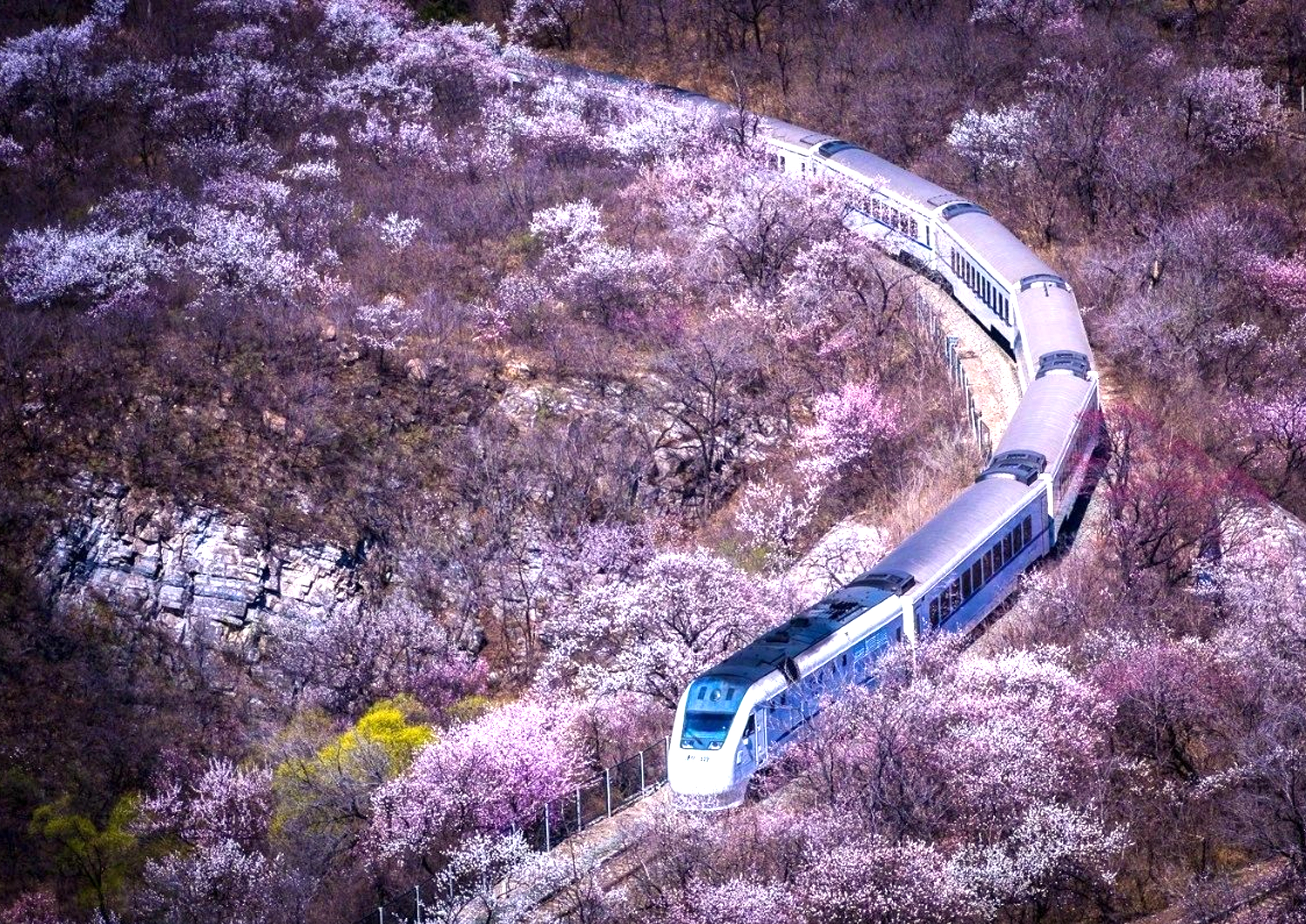 坐着火车游北京,省时省力又省钱,寻找春天最美的风景