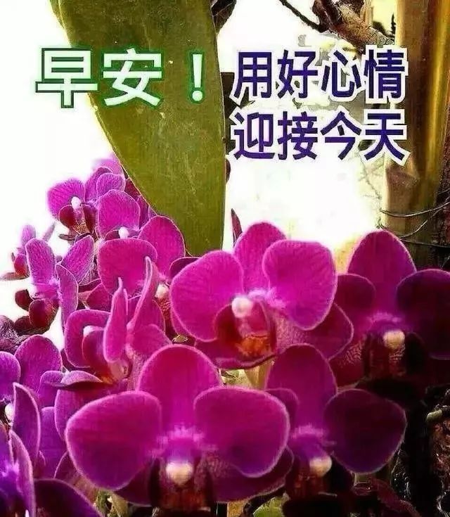 五月微信群发早上好问候亲友短句，周二早安，吉祥如意、健康快乐图片