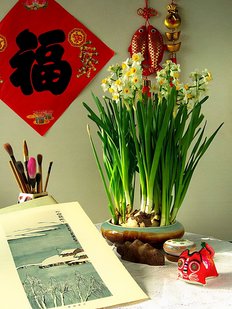 常见的“7种大毒花”，家里经常养，建议多了解，避免受伤害