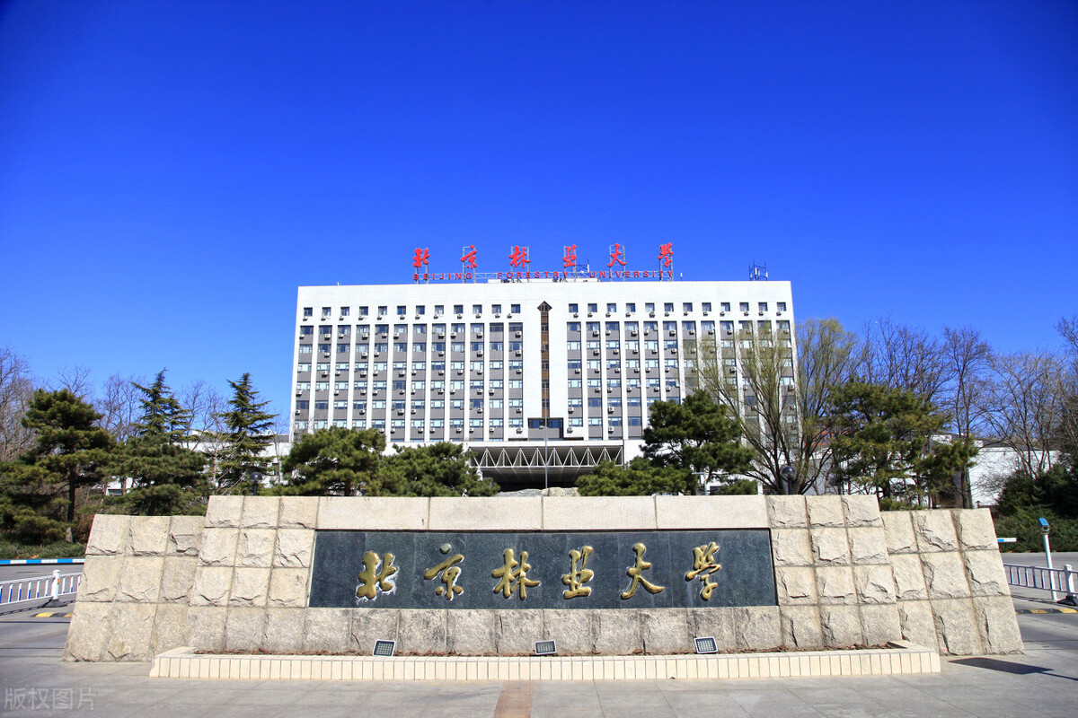 99所开设美术专业的“双一流”大学，你所在的省份有多少所呢？