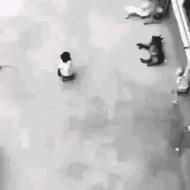 爸，你旁边的叔叔好帅，爸爸：这是你妈，网友当场笑喷了，哈哈哈