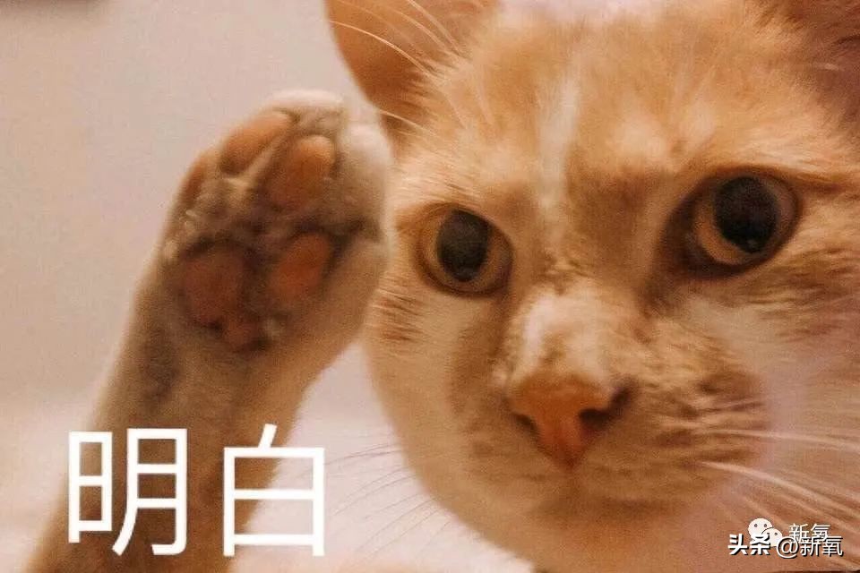 这些知名大导和他们的缪斯碰撞出了神奇火花