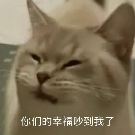 都在磕的巴拉拉能量？罗拉王能能连麦直播，自爆对结局很满意？