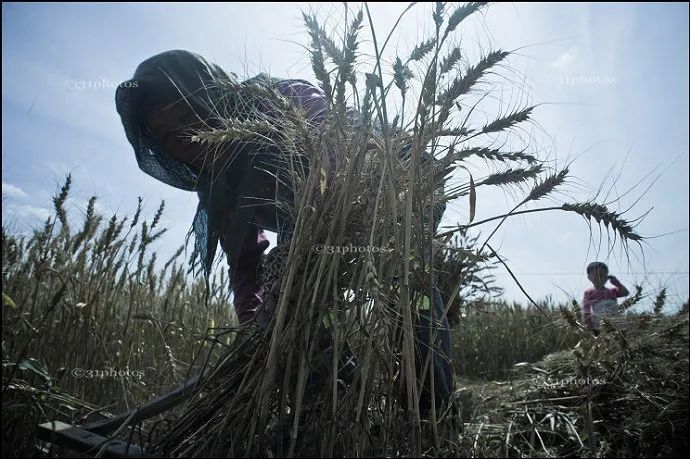 久石让栽了？或许大师眼里才能看到大多数人看不到的美