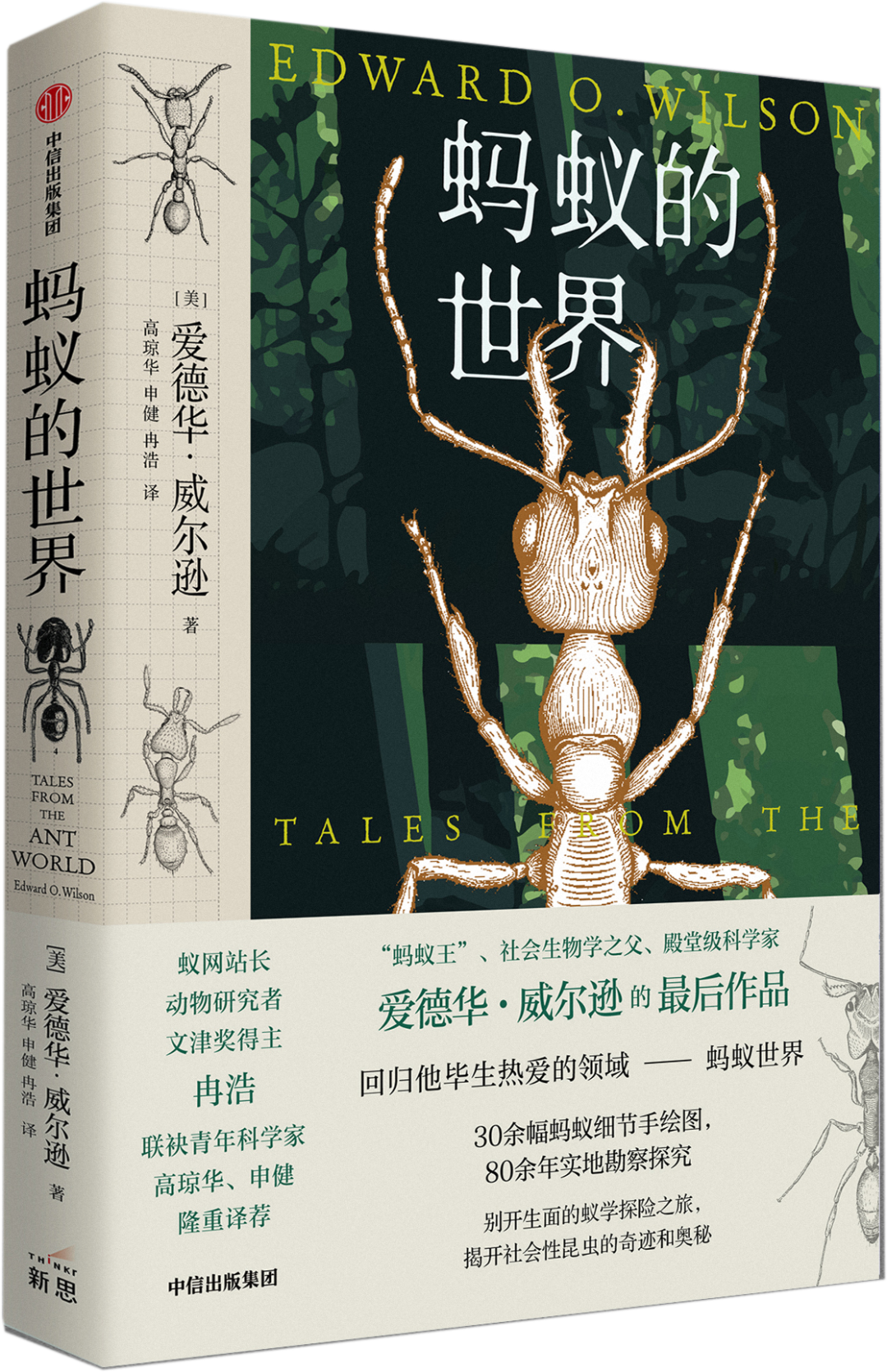达尔文之后最伟大博物学家，爱德华·威尔逊遗作：与蚂蚁相伴80多年的故事