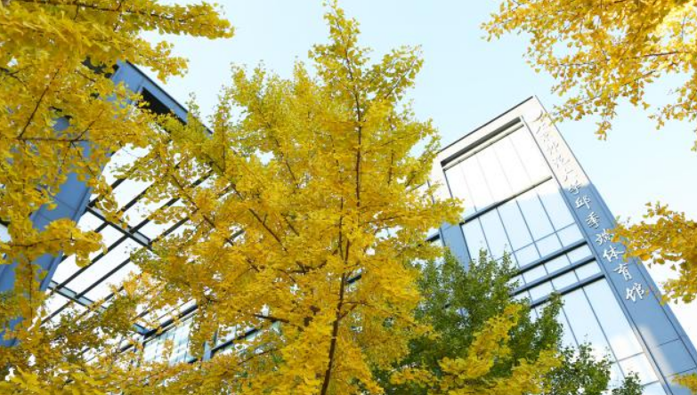 全国985、211大学一览表：能考上这些大学，毕业会成为“抢手货”