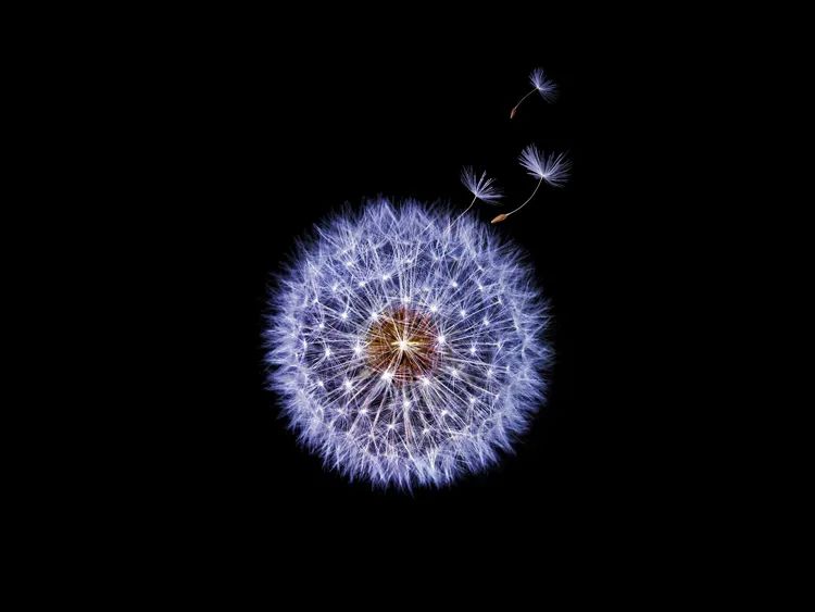 高大上的全黑背景是这样拍出来的,你也能做到