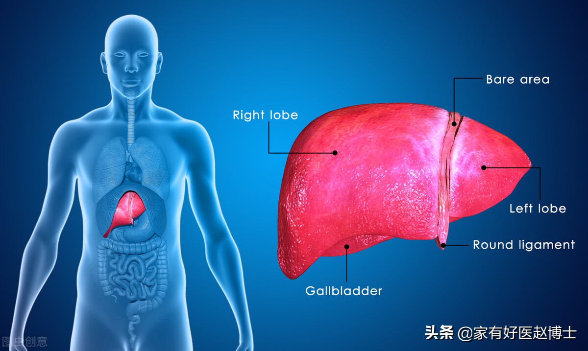 空腹血糖高，问题可能出在哪里？降糖药物，有哪些可以用？