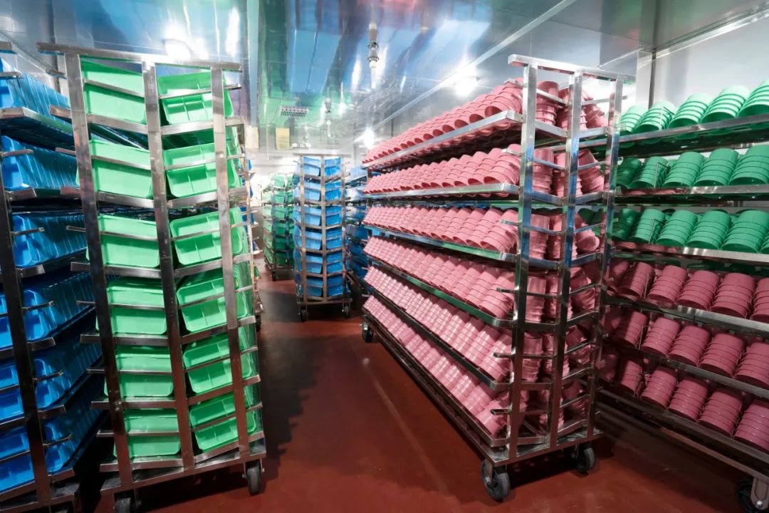 暖心又暖胃！翠屏区城区校园“营养午餐”为学生“舌尖” 护航