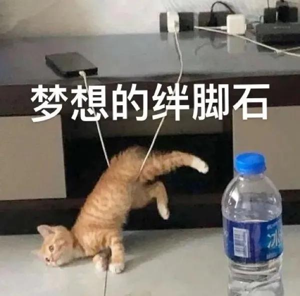 可爱表情包  你可真厉害