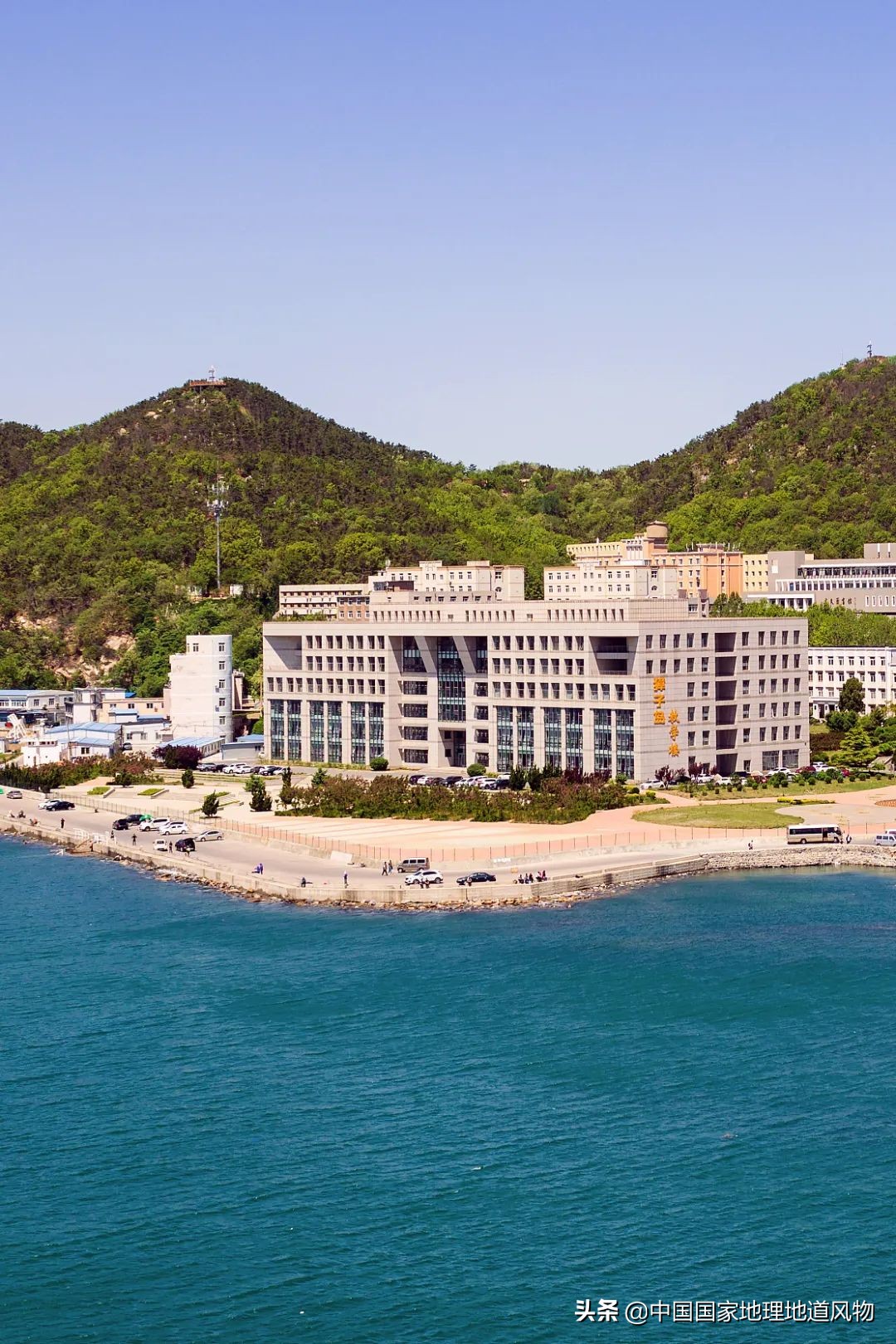 辽宁，被忽略的海鲜大省