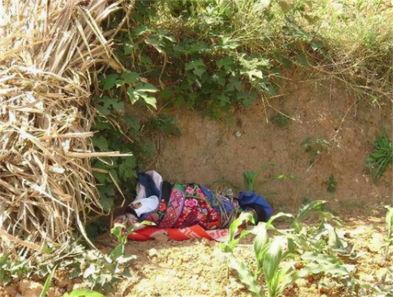 2005年女童身患白血病，为减轻养父负担，偷偷签下放弃治疗协议