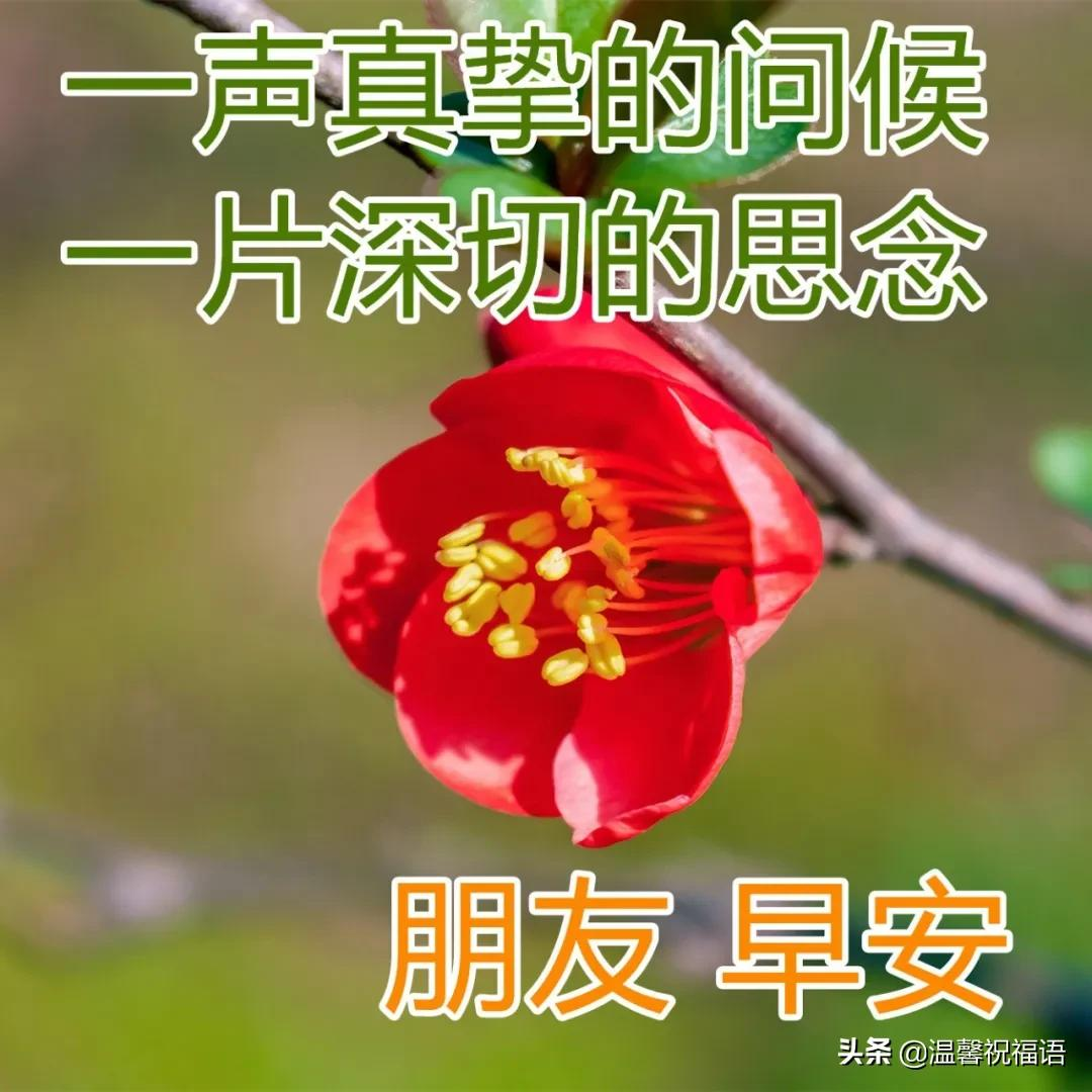 2月11日正月十一早上好图片 正月初十早安心语句子
