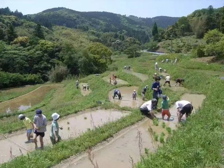 MUJI 联手本田！正式发布电动车界的「基本款」