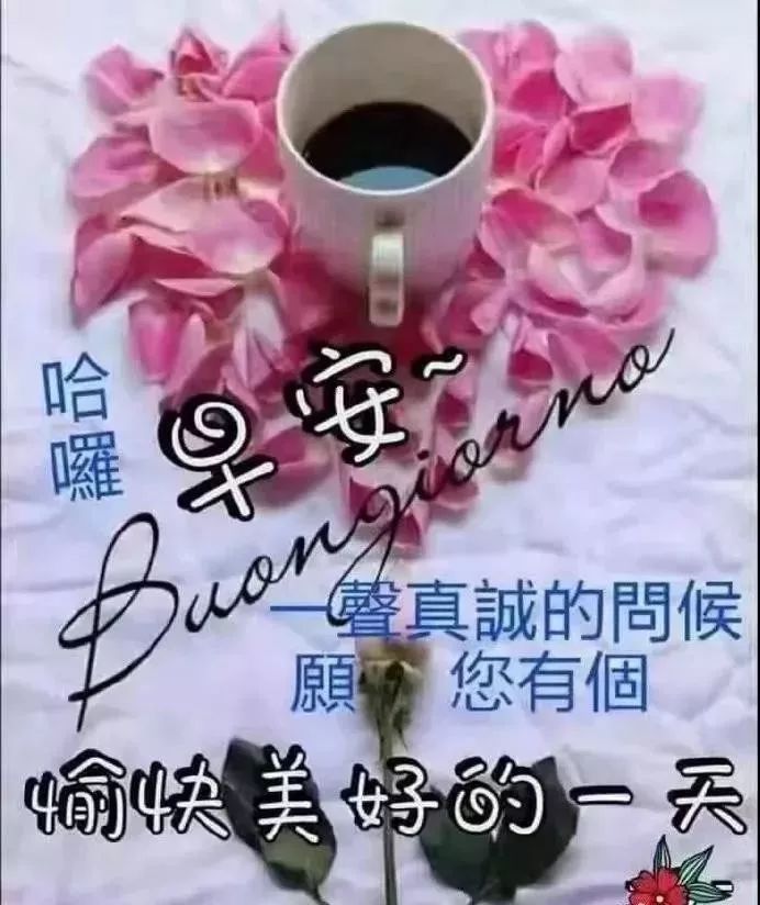 漂亮的早上好动态图片表情包大全，被失败击败，那才是真正的失败图片