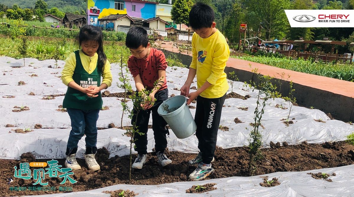 乐享奇程 | 花艺美学季，在田野花间，享受美好旅途