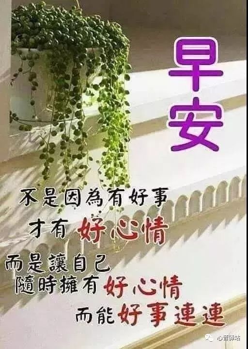 周日感恩相遇，真挚的情谊天长地久 天气渐冷，注意保暖图片