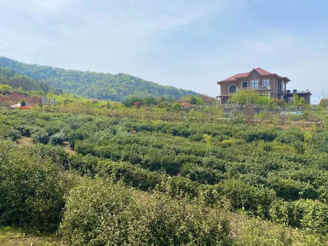 “四月限定”！不出当涂，就可以品到的人间美味