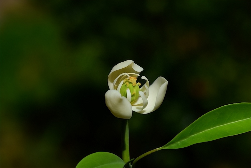 国内、国际最新科技动态 2022.7.18 星期一