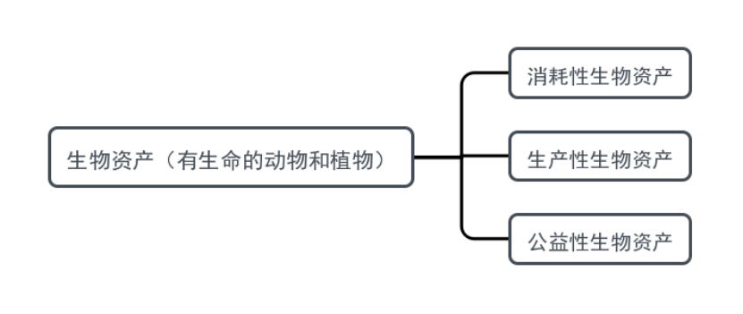 一本书读懂财报