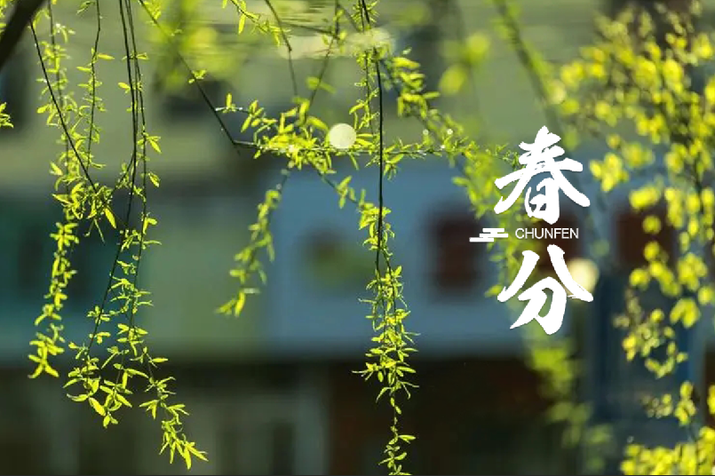 春分 | 春半日暖 昼夜平分，十首春半的诗词，带你览尽美好春光