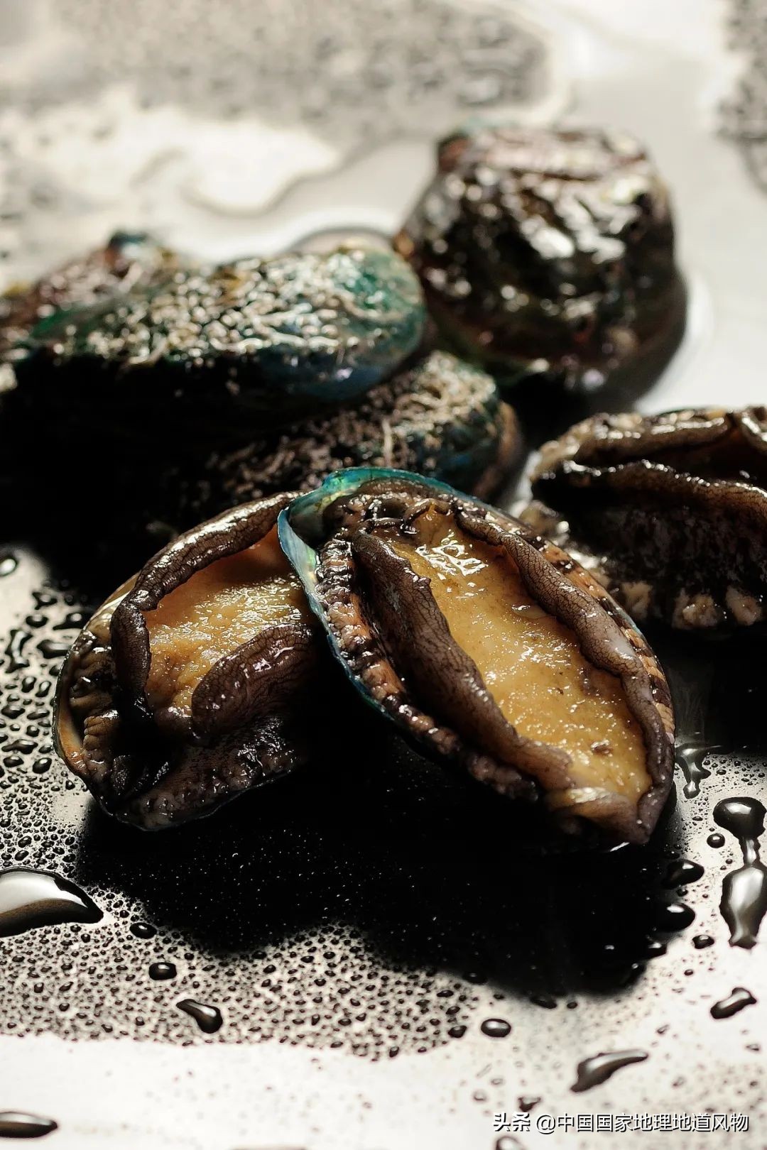 辽宁，被忽略的海鲜大省