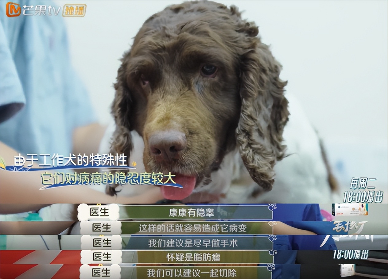 10分钟看哭7次！当他们不再“有用”的时候，却也无法正常生活