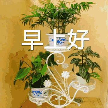 漂亮的早上好图片祝福语表情包带字 祝你幸福又平安图片