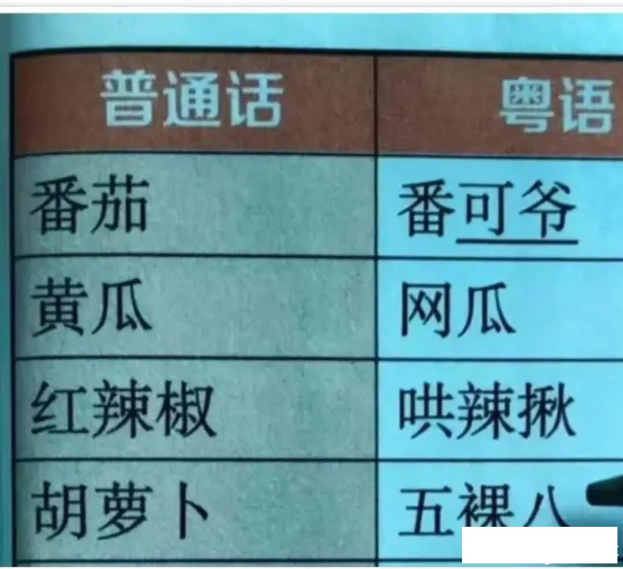 这小孩子从小到大巅峰，有了这个神兽就从小不怕欺负了