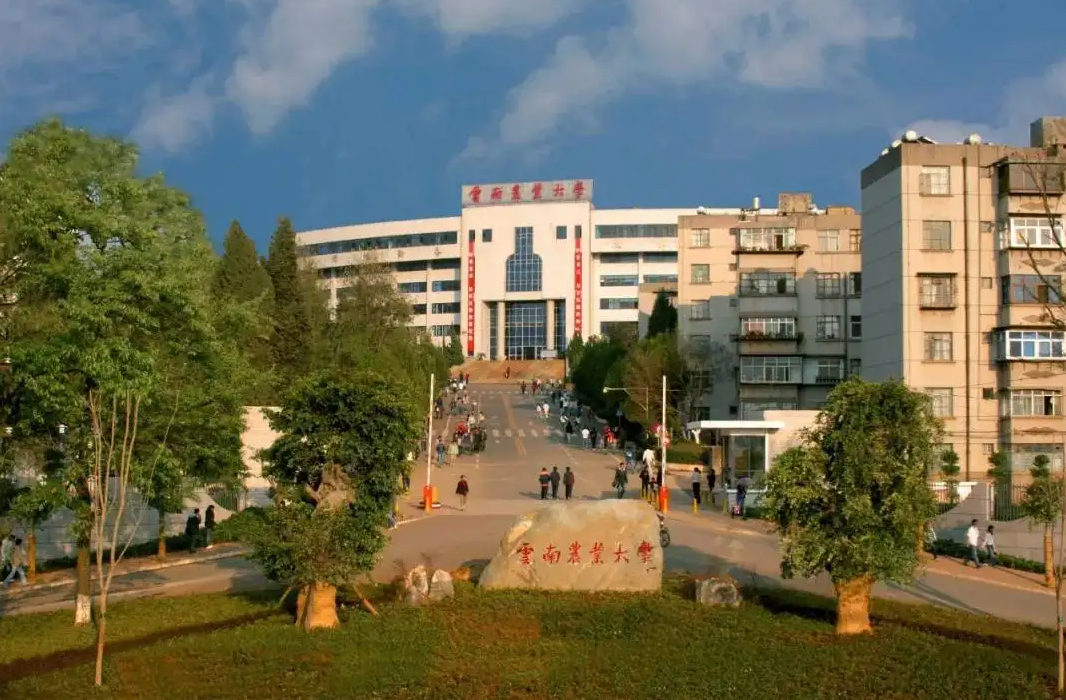 5所中国烟草的“娘家”大学，门槛不高待遇却很好，高三党要知道