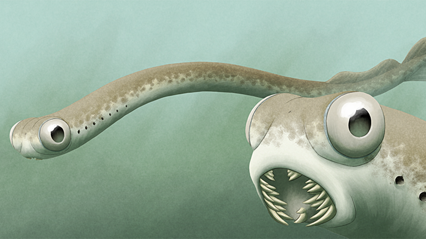 无冕之王牙形虫古生代海洋幽灵越研究越恐怖