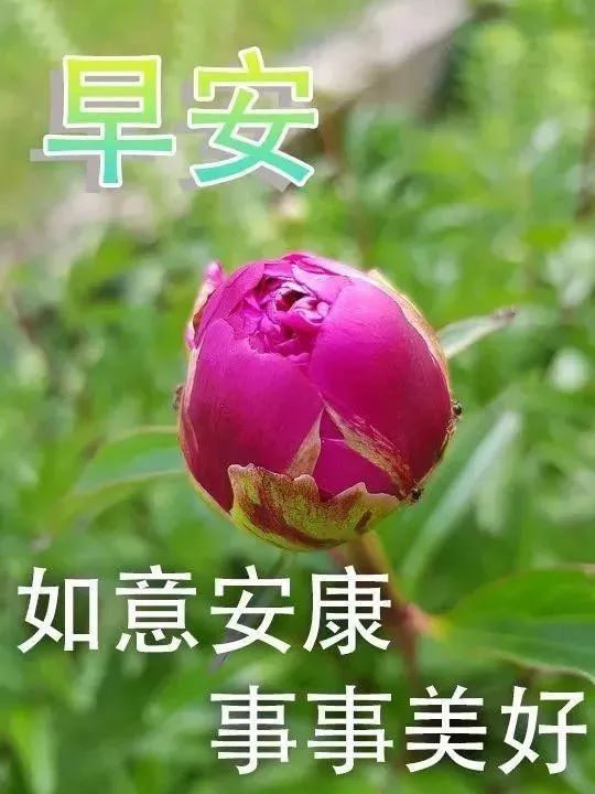 清晨问候朋友早上好的温馨祝福语句子 愿我们共同拥有平安健康快乐图片
