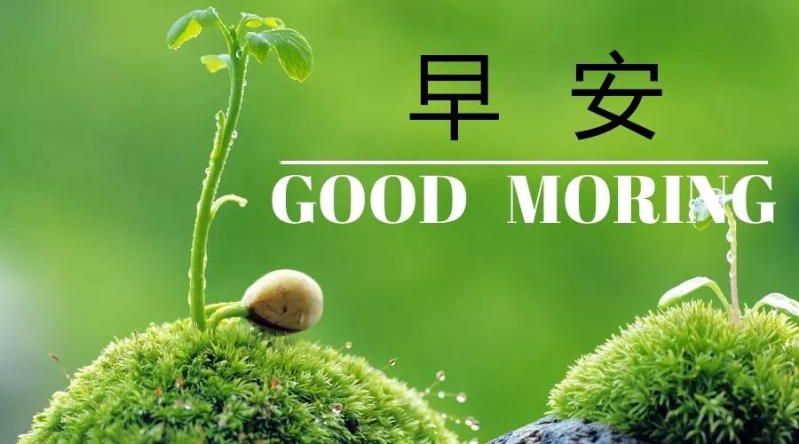 新周早上好动态表情图片，早晨好动图美图，愿我们健康快乐每一天图片