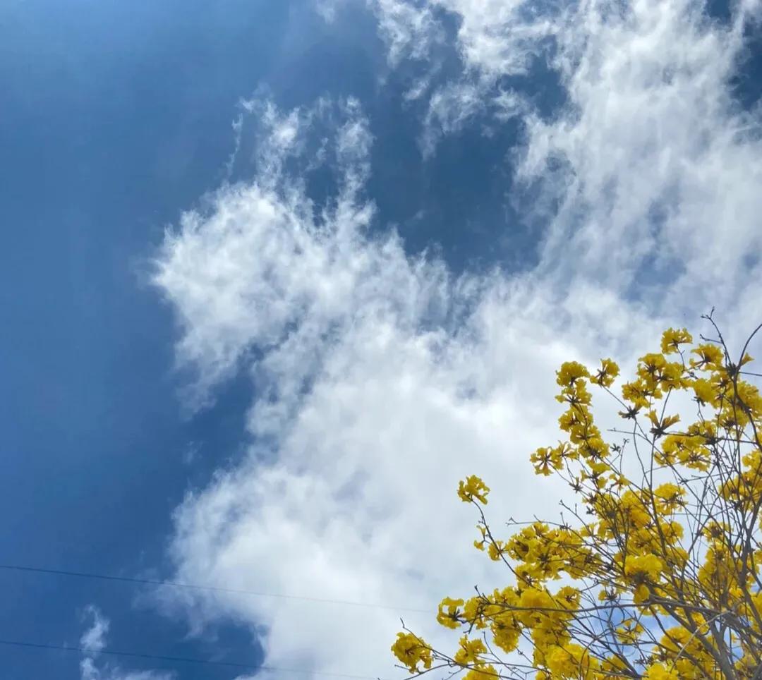 一燃姐：家庭生活中的10个小感悟