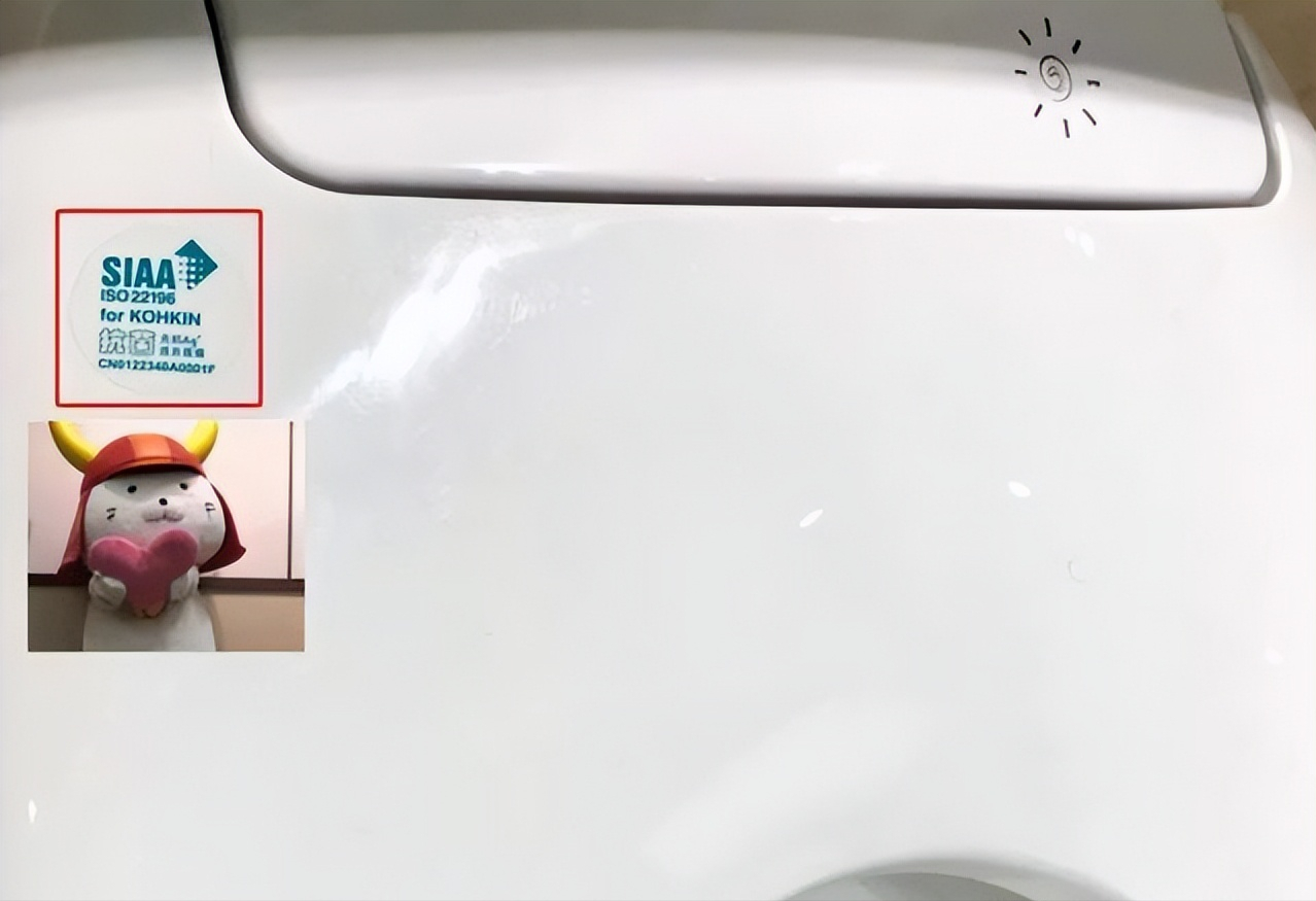 千万不要赶时髦购买智能马桶！有图有真相