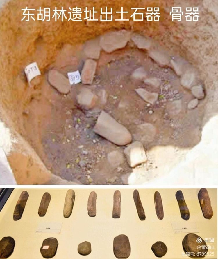 黄镇山：世界陶稻黍文明起源中国万年前