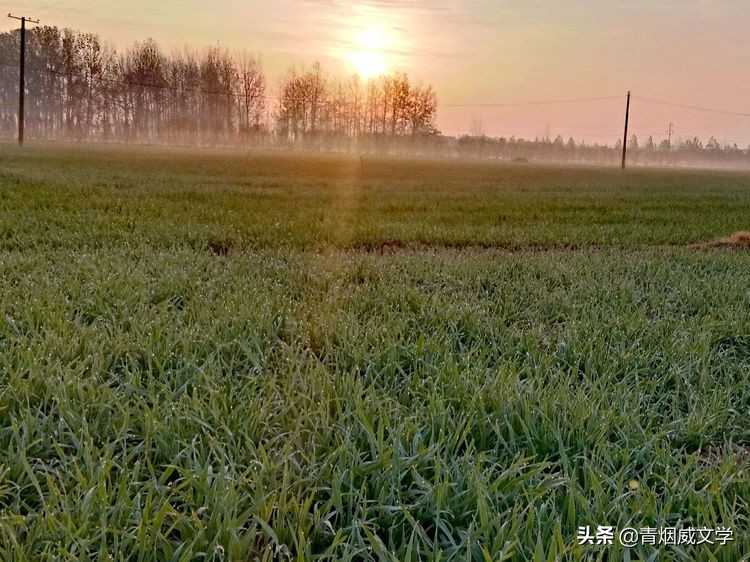 泰山日出，瑞雪红梅（诗词九首）