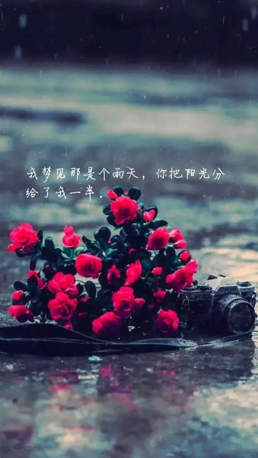 福克纳14 .我们最终都要远行,最终都要跟稚嫩的自己告别.