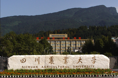 美术统考查分啦！2022年重庆市美术生最好考的大学有哪些？