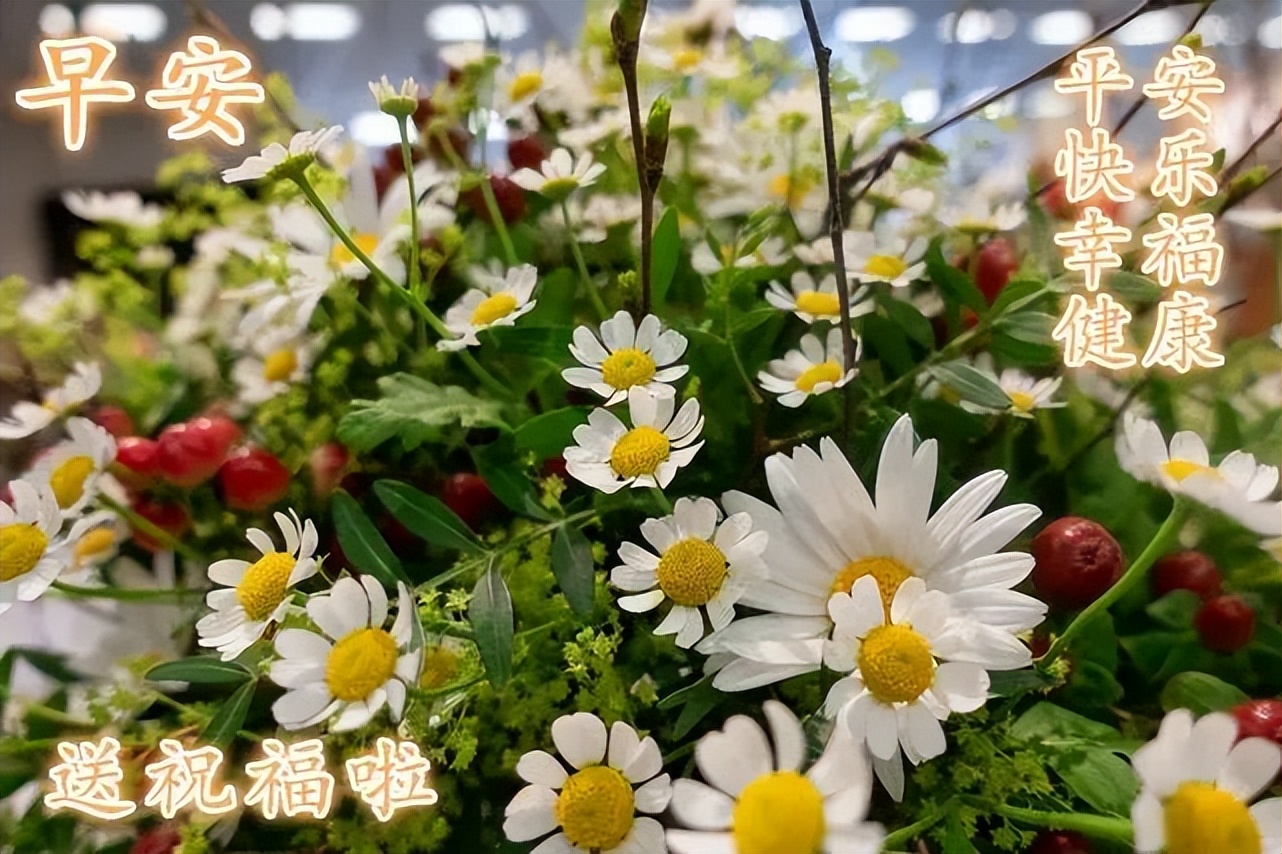 早上好朋友，早上好表情包图片 人生最大的福报是过得平安图片