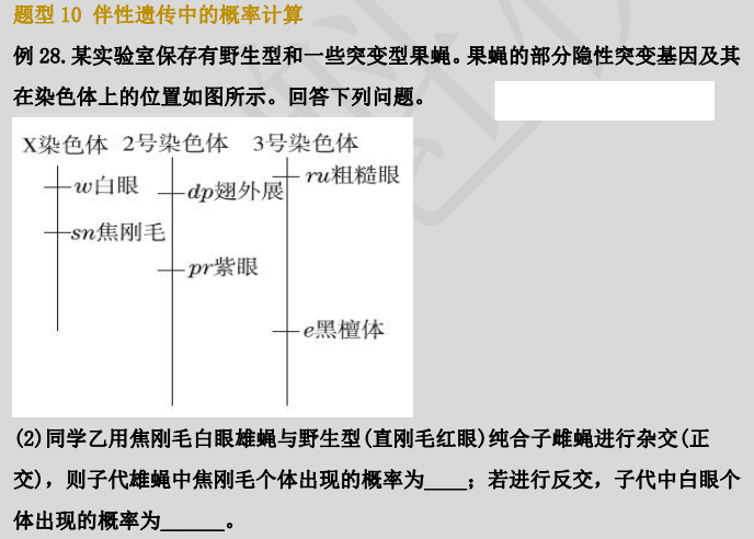 聯考倒計時 我把高中生3年基礎考點 濃縮成370道題 寒假刷完 天天看點