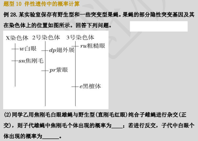 聯考倒計時 我把高中生3年基礎考點 濃縮成370道題 寒假刷完 Me前沿